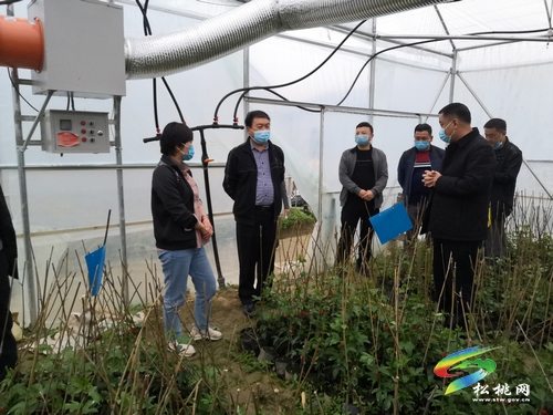 唐永明深入大路冷水溪普觉长兴堡调研“产业发展、人大在行动”工作