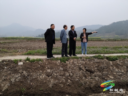 唐永明深入大路冷水溪普觉长兴堡调研“产业发展、人大在行动”工作