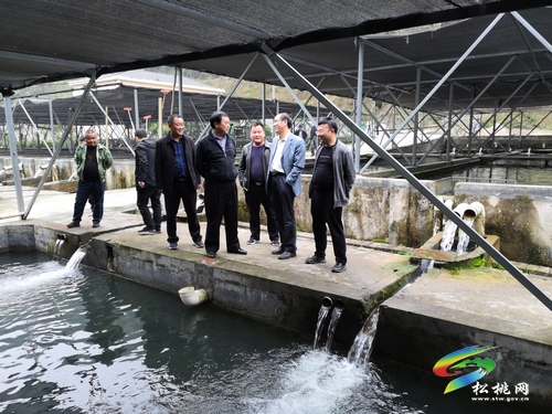 唐永明深入大路冷水溪普觉长兴堡调研“产业发展、人大在行动”工作