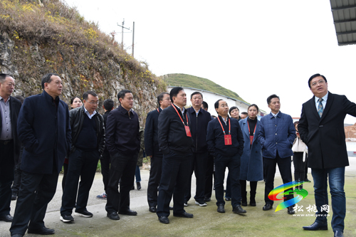 省十三届人大铜仁团代表视察我市生态畜牧业发展情况