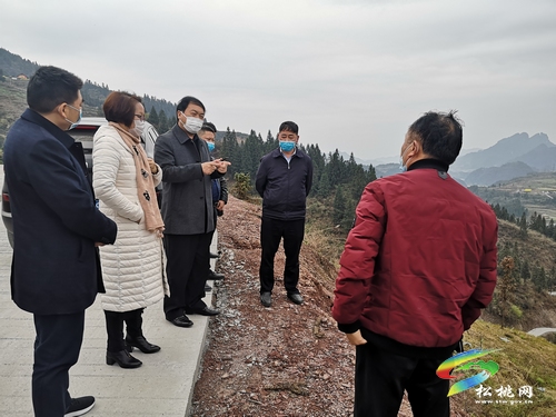 ​唐永明深入太平营大坪场寨英孟溪调研“脱贫攻坚，人大代表在行动”和人大代表联络站建设