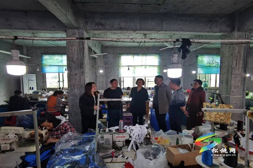 石敏到迓驾镇调研人大代表联络站运行情况等工作