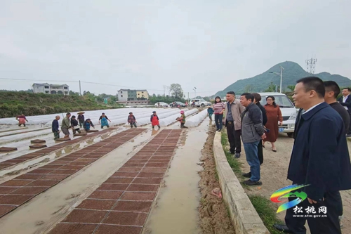 石敏到迓驾镇调研人大代表联络站运行情况等工作